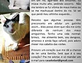 Doação de filhote de gato macho com pelo curto e de porte pequeno em São Paulo/SP - 25/07/2014 - 14673