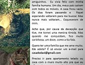 Doação de filhote de gato fêmea com pelo curto e de porte pequeno em São Paulo/SP - 25/07/2014 - 14675