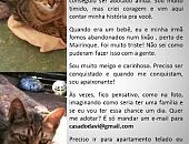 Doação de filhote de gato macho com pelo curto e de porte pequeno em São Paulo/SP - 25/07/2014 - 14676