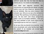 Doação de filhote de gato fêmea com pelo curto e de porte pequeno em São Paulo/SP - 25/07/2014 - 14678
