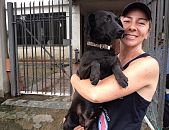 Doação de cachorro adulto fêmea com pelo curto e de porte médio em São Paulo/SP - 20/08/2014 - 14998