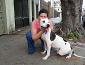 Doação de cachorro adulto macho com pelo curto e de porte grande em São Paulo/SP - 03/11/2014 - 15756