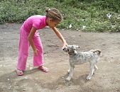 Doação de cachorro adulto fêmea com pelo longo e de porte médio em Rio De Janeiro/RJ - 17/11/2014 - 15895
