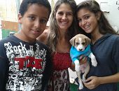 Doação de filhote de cachorro fêmea com pelo curto e de porte médio em Belo Horizonte/MG - 30/06/2015 - 18197