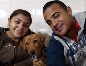 Doação de cachorro adulto macho com pelo curto e de porte médio em São Paulo/SP - 11/04/2017 - 25977