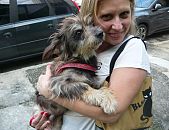 Doação de cachorro adulto macho com pelo longo e de porte pequeno em São Paulo/SP - 22/05/2017 - 26252