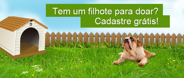 Cadastrar animal para doação