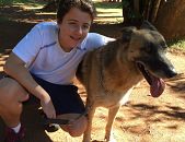 Doação de cachorro adulto macho com pelo curto e de porte grande em Belo Horizonte/MG - 16/11/2016 - 24706