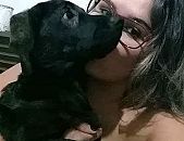 Doação de cachorro adulto macho com pelo curto e de porte grande em Carapicuíba/SP - 11/02/2018 - 28299