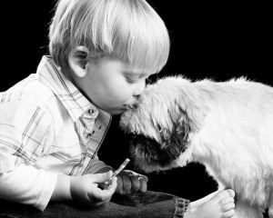 Ligação entre cães e humanos