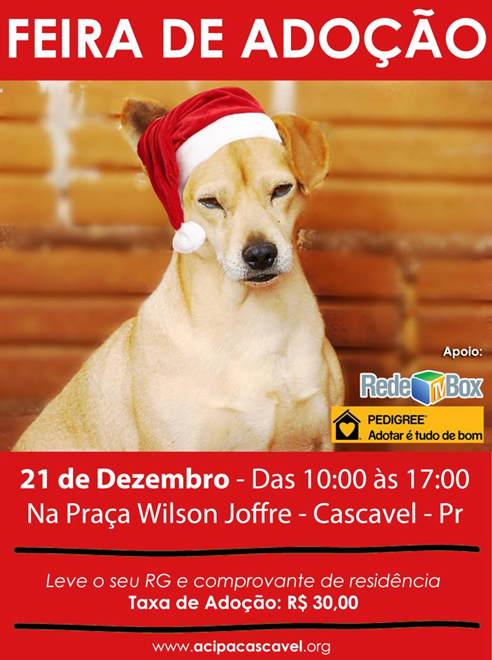 Feira de doação de pet em Cascavel/PR